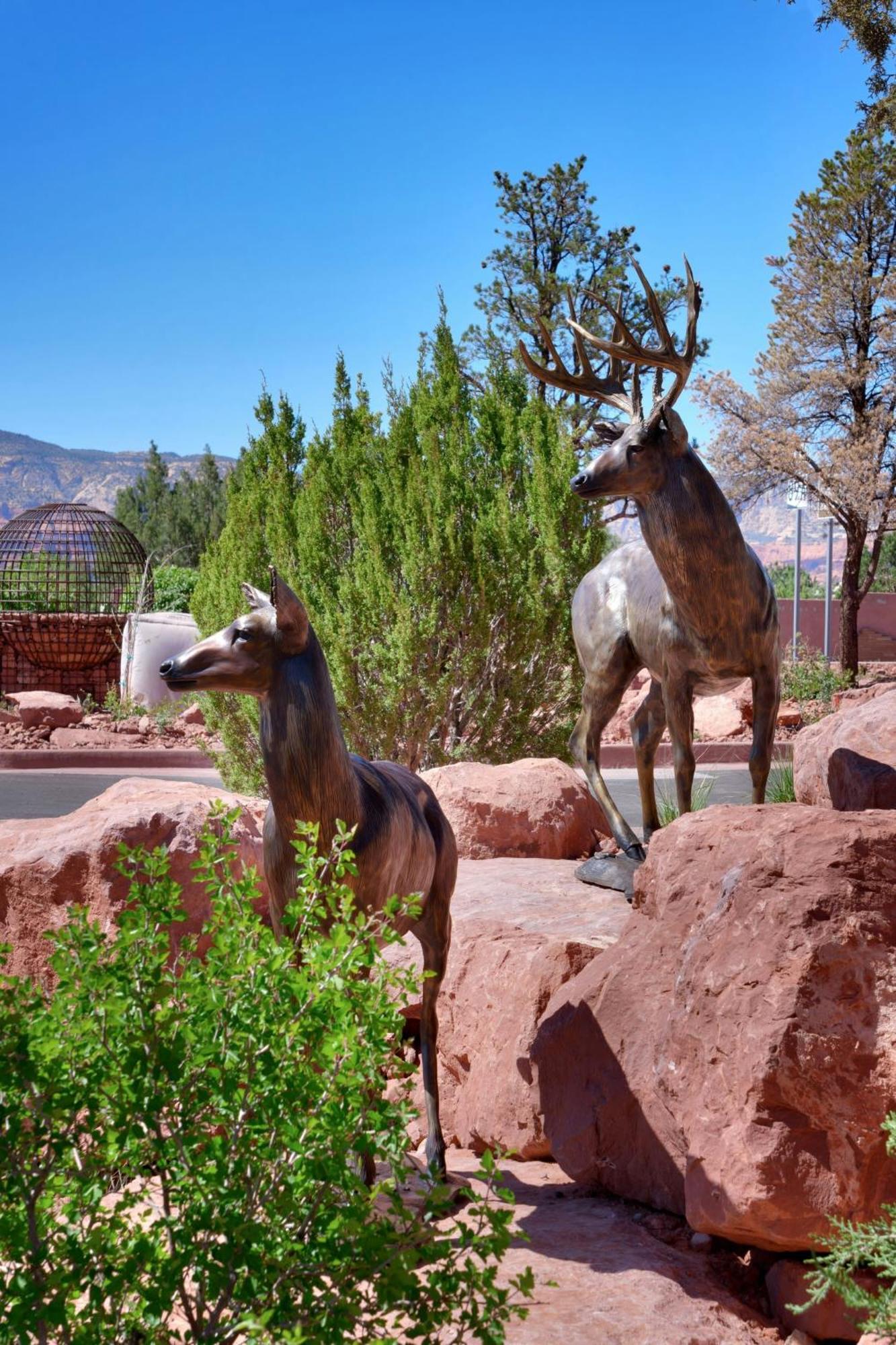 Residence Inn By Marriott Sedona Exteriör bild
